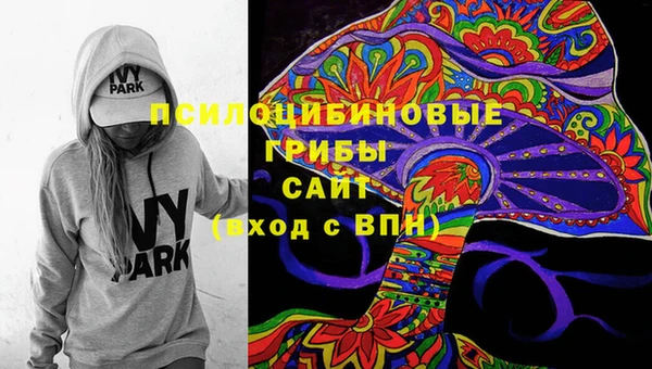 крисы Бронницы