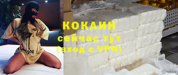 крисы Бронницы