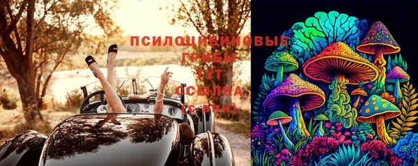 крисы Бронницы