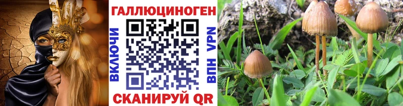 Псилоцибиновые грибы Cubensis  магазин продажи наркотиков  Волоколамск 